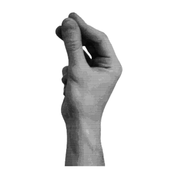Mano (2) Producto de prueba